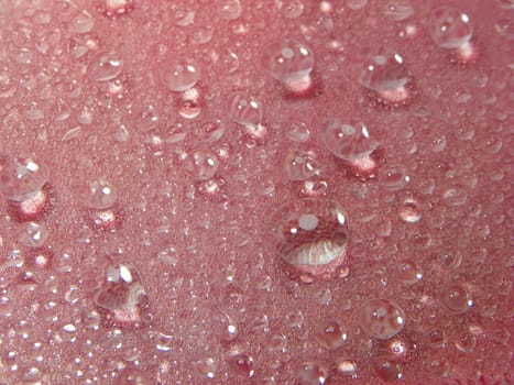 Water drops red background