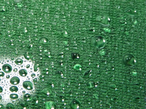 Water drops green background