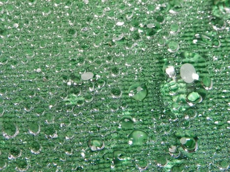 Water drops green background