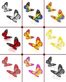 Butterflies botany set
