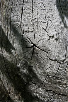 texture of old wood wall in a village house