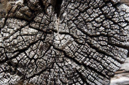 texture of old wood wall in a village house