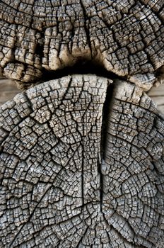 texture of old wood wall in a village house