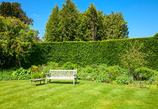 Wooden bench in a summer garden