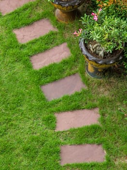 Garden with grass growing and decor flower