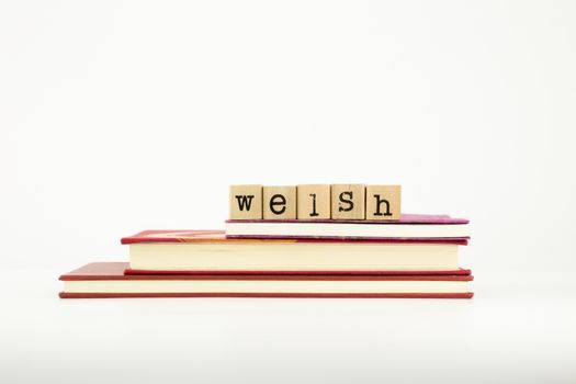 welsh word on wood stamps stack on books, language and study concept