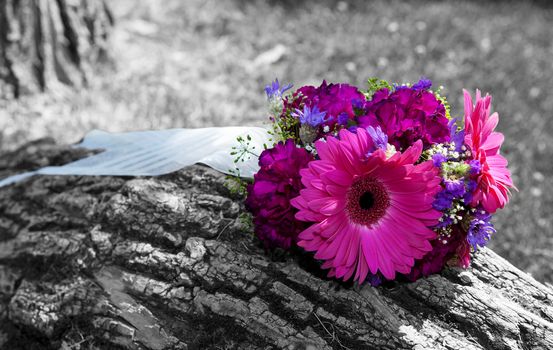 A beautiful, bridal bouquet left sitting on a tree trunk.  Black and white image with color tinted flowers.