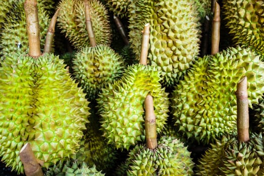 Durian, a queen of fruit in thailand.