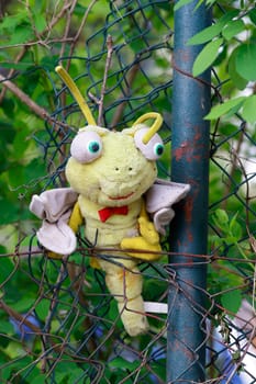 Image of the wasp - lost cuddly toy