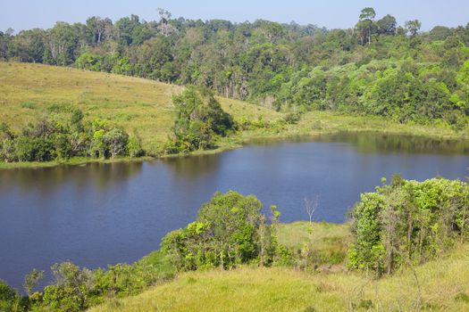 River and forest in Thailand