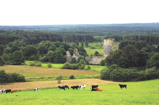 Idarwald mit Ruine Baldenau im Hunsrück