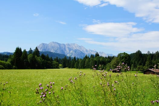 sommerliche Landschaft im Alpenland mit Wettersteingebirge in der Ferne
