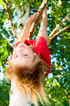 Little girl having fun playing on birch tree
