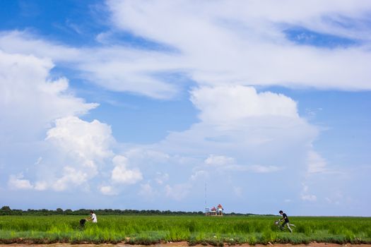 SIEM REAP, CAMBODIA - May 3: Cambodian people ride bicycle at the shore, Tonle Sap Lake in Siem Reap, Cambodia on May 3, 2014. 