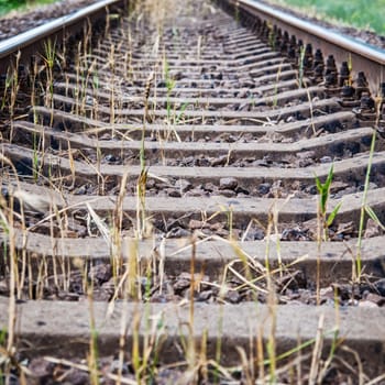 Railroad rails overgrown with grass