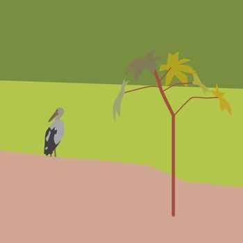 Vector and illustration of open-billed stork bird