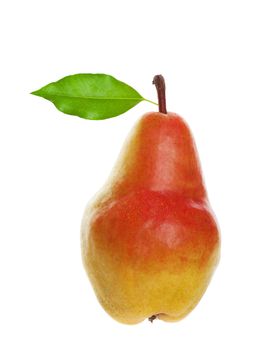 A fully-ripened, freshly picked pear with leaf still attached.  Shot on white background.