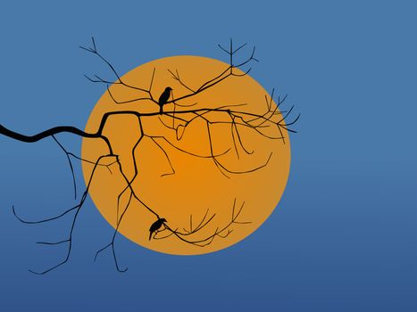 Vector silhouette of bird sitting on a branch sunset