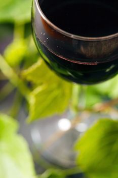 Red wine in glass with grape leaves