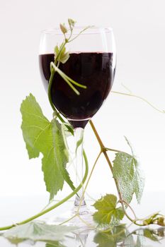 Red wine in glass with grape leaves