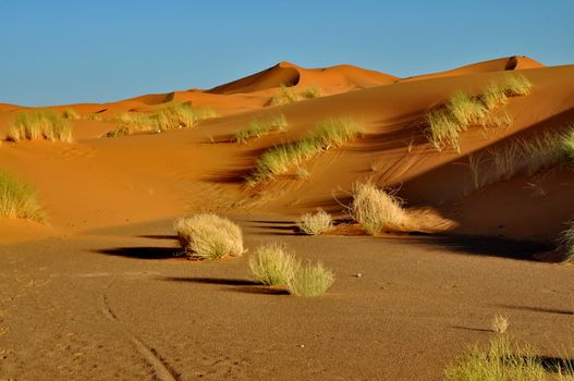 Merzouga desert in Morocco