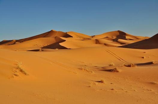 Merzouga desert in Morocco