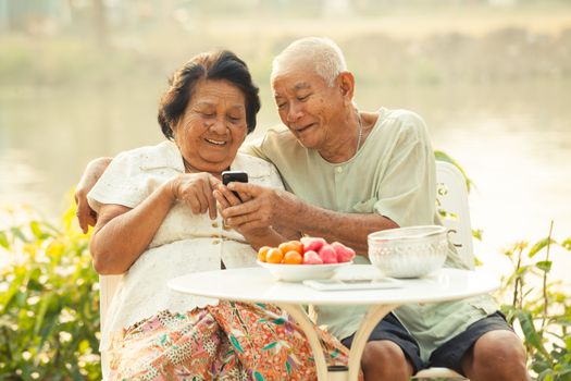 Happy asian senior couple using the mobile phone on outdoor background