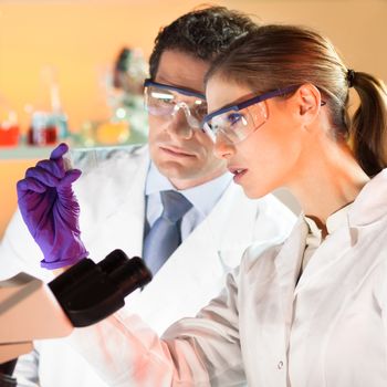 Attractive young scientist and her post doctoral supervisor looking at the microscope slide in the forensic laboratory.