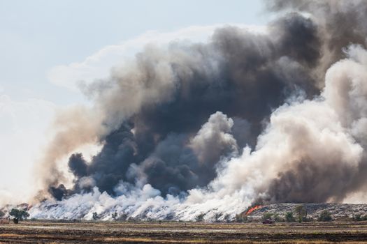 Burning garbage heap of smoke from a burning pile of garbage