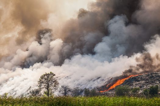 Burning garbage heap of smoke from a burning pile of garbage