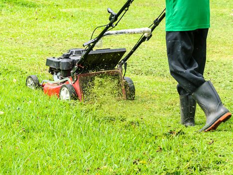 Worker mowing grass with mowing machine 