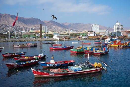 Colourful wooden fishing boats in the harbour at Antofagasta in the Atacama Region of Chile
