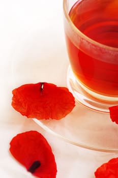 Poppy in glass cup on white table