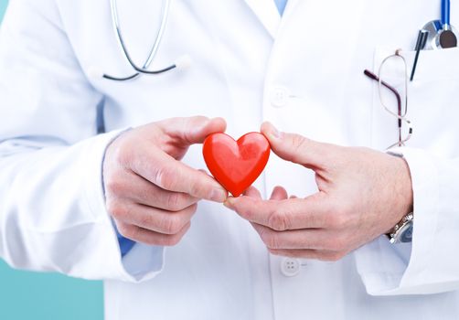 Doctor holding an heart, cardiologist and cardiovascular diseases concept.