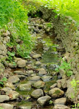 Beauty Park Brook Between Stones and Green Grass on Outdoors