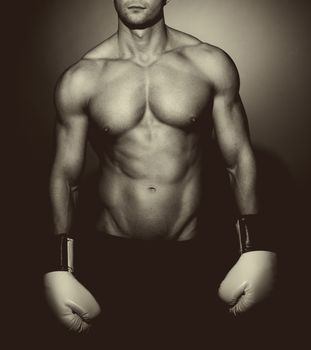 Boxer posing on dark background looking at camera.