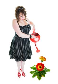 A successful gardener, dressed in pinup style, fertilizing a healthy, enormous gerbera daisy!  Shot on white background.