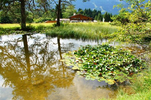 Teich am Kramerplateauweg bei Garmisch-Partenkirchen
