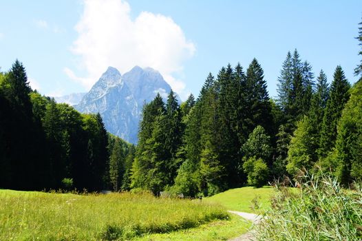 Wald am Riesserse mit der Alpspitze dahinter
