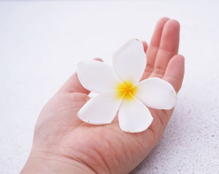 White flowers resting on the palm of a young woman.                               