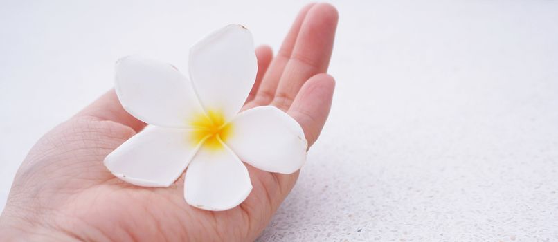 White flowers resting on the palm of a young woman.                               