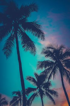 Retro Filtered Photo Of Hawaii Palm Trees At Sunset