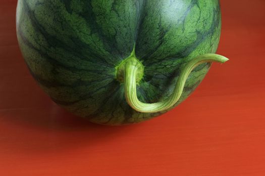 Close up of Watermelon