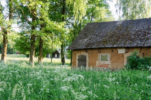 molar old dirty rural barn between the high grass