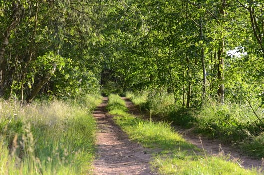 path