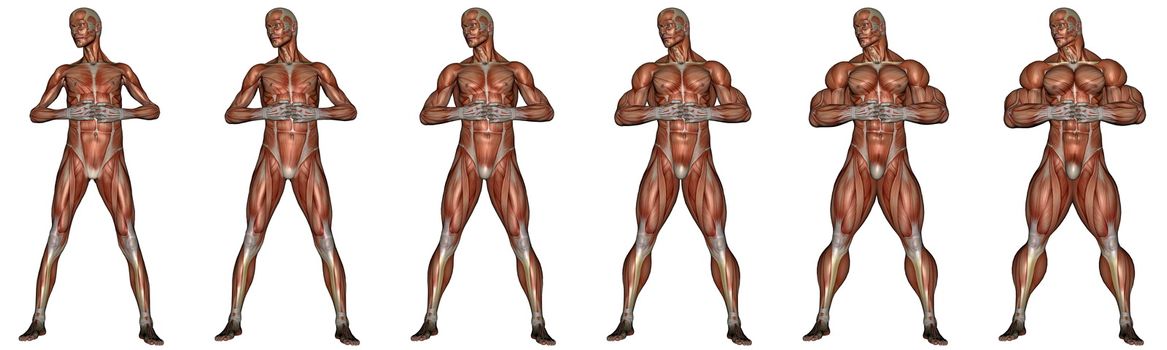 Set of six men showing progression to become a muscular man isolated in white background