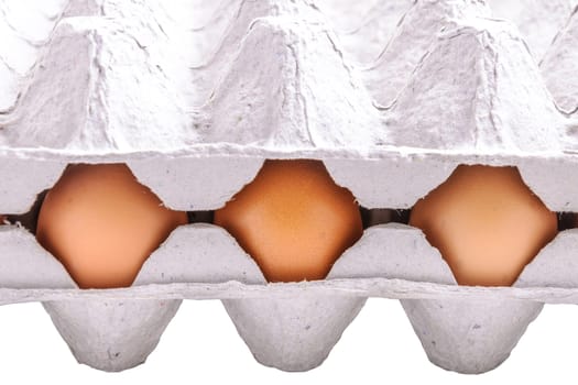 Chicken eggs in egg tray 