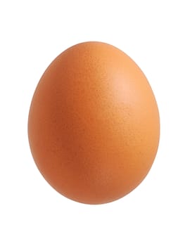 Close up of chicken egg isolated on white background