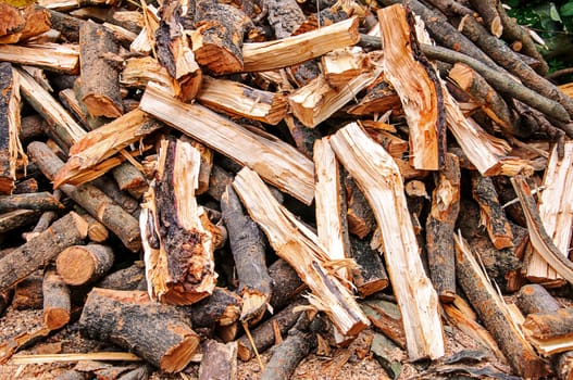 Pile of drying split firewood 