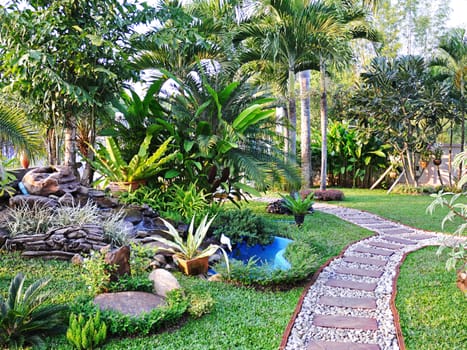 Landscaping in the garden. The path in the garden.